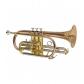 louer Cornet MTP 300G