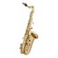 louer Saxophone alto MTP Ergonomique Start